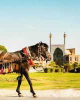 decorato Marrone iraniano cavallo carrozza per giro, popolare Locale attrazione nel Isfahan quadrato, mi sono imbattuto foto