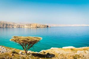 bellissimo soleggiato arido Oman paesaggio nel persiano golfo baia con turchese mare acqua, merillas isole sfondo. escursioni a piedi itinerari e flora. foto