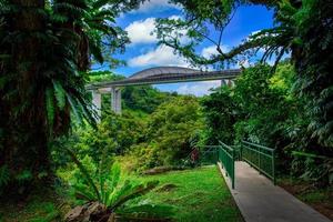 henderson onda ponte su blu cielo sfondo a giorno nel Singapore. foto