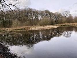 un' Visualizza di Marrone muschio natura Riserva su un' nuvoloso giorno foto