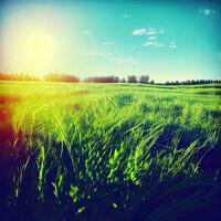 luminosa sole brilla su verde mattina erboso prato, luminosa blu cielo - ai generato Immagine foto