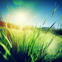 luminosa sole brilla su verde mattina erboso prato, luminosa blu cielo - ai generato Immagine foto