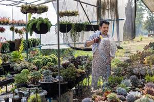 asiatico giardiniere è irrigazione il succulento pianta dentro il suo serra utilizzando tubo flessibile per passatempo e ornamentale giardino attività commerciale concetto foto