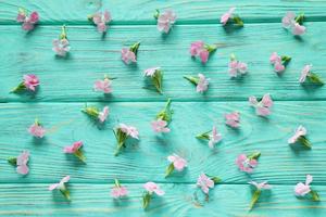 piccolo rosa fiori su verde di legno tavolo, floreale modello foto