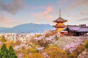 tempio di kiyomizu-dera e stagione dei fiori di ciliegio primavera a kyoto