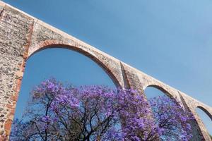 queretaro Messico acquedotto con jacaranda albero e viola fiori foto