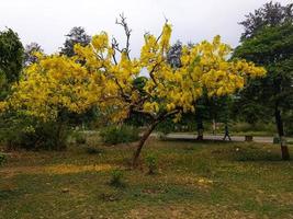 uttarakhand bellissimo immagini foto