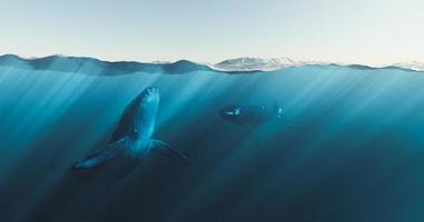 balene sott'acqua sotto il mare affiorante, rendering 3d foto