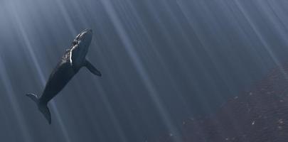 Balena 3d nelle profondità dell'oceano foto