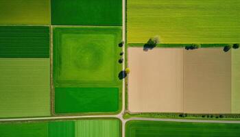 generativo ai, azienda agricola paesaggio, agricolo campi, bellissimo campagna, nazione strada. natura illustrazione, fotorealistico superiore Visualizza drone, orizzontale striscione. foto