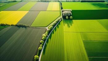 generativo ai, azienda agricola paesaggio, agricolo campi, bellissimo campagna, nazione strada. natura illustrazione, fotorealistico superiore Visualizza drone, orizzontale striscione. foto