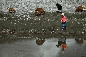 mandriani accanto il pietra Casa e pecora di il fiume foto