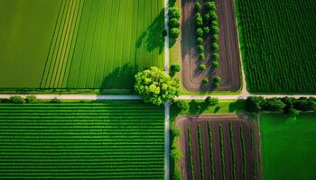 generativo ai, azienda agricola paesaggio, agricolo campi, bellissimo campagna, nazione strada. natura illustrazione, fotorealistico superiore Visualizza drone, orizzontale striscione. foto