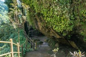 il modo andando per grande grotta su il tropicale foresta quando primavera stagione. il foto è adatto per uso per avventura soddisfare media, natura manifesto e foresta sfondo.