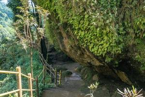 il modo andando per grande grotta su il tropicale foresta quando primavera stagione. il foto è adatto per uso per avventura soddisfare media, natura manifesto e foresta sfondo.