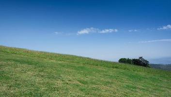 bellissimo erba campo con blu cielo. campagna paesaggio Visualizza sfondo. foto