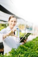 ricercatore nel bianca uniforme siamo controllo con ph strisce nel idroponica azienda agricola e ph livello scala grafico, scienza laboratorio serra concetto. foto