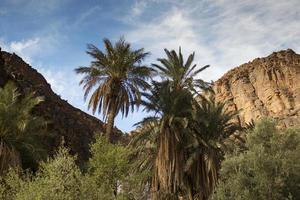 amtoudi gola Marocco foto