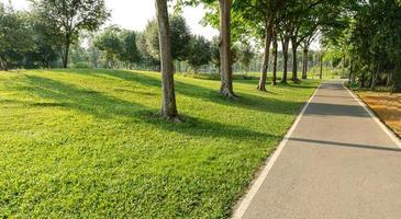 vuoto autostrada asfalto strada nel paesaggio verde parco foto