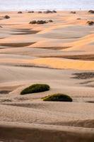 sabbia dune di il mare foto