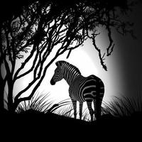 zebra silhouette ai generato foto