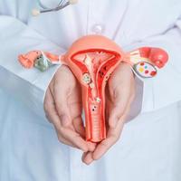 medico Tenere utero e ovaie modello. ovarico e cervicale cancro, cervice disturbo, endometriosi, isterectomia, uterino fibromi, riproduttore sistema e gravidanza concetto foto