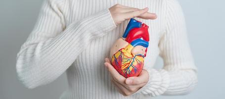 donna Tenere umano cuore modello. cardiovascolare malattie, aterosclerosi, ipertensivo cuore, valvolare cuore, aortopolmonare finestra, mondo cuore giorno e Salute concetto foto