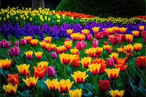 ai generato vivace tulipano giardino colorato astratto sfondo. foto