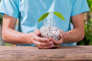 una persona che pianta alberi in vaso, concetto per l'amore delle piante e dell'ambiente foto