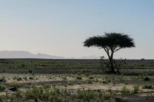 paesaggio nel Marocco foto