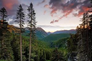 paesaggio di montare più piovoso nazionale parco nel Stati Uniti d'America foto