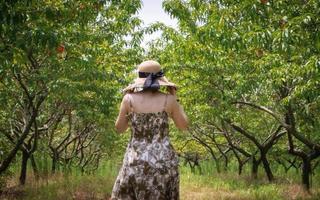 il donna nel il cappello da sole foto