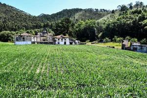 panoramico rurale paesaggio foto