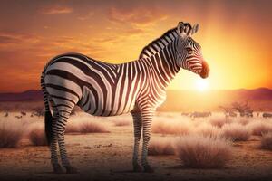 zebra nel savana africano natura su tramonto sfondo, Africa giorno. creato generativo ai foto