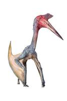 il pterosauro , dinosauro su isolato sfondo foto