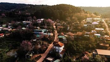 paesaggio di bellissimo selvaggio himalayano ciliegia fioritura rosa prunus cerasoides fiori a phu lom lo loei e phitsanulok di Tailandia foto