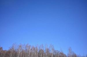 sfondo blu cielo senza nuvole, soleggiato giorno. foto