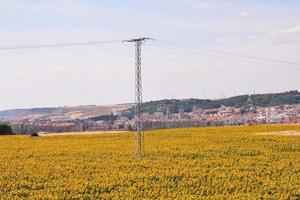 panoramico rurale paesaggio foto