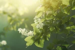 un' bellissimo primavera sfondo con le foglie e poco fiori su un' leggero sfondo creato con generativo ai tecnologia. foto