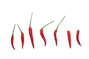 rosso caldo peperoncini su bianca sfondo foto