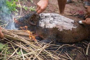 ardente il capelli via e torrefazione foto