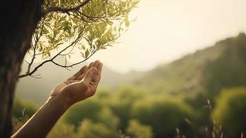 artistico mani abbraccio della natura bellezza Tenere albero al di sopra di sfocato sfondo foto