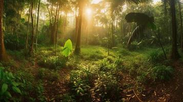 un' tranquillo, calmo foresta radura bagnata nel caldo luce del sole, circondato di alto alberi e lussureggiante fogliame, con un' dolce ruscello gocciolante attraverso il sottobosco e un' lontano montagna gamma visibile foto