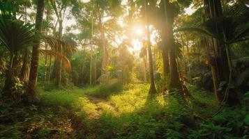 un' tranquillo, calmo foresta radura bagnata nel caldo luce del sole, circondato di alto alberi e lussureggiante fogliame, con un' dolce ruscello gocciolante attraverso il sottobosco e un' lontano montagna gamma visibile foto