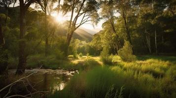 un' tranquillo, calmo foresta radura bagnata nel caldo luce del sole, circondato di alto alberi e lussureggiante fogliame, con un' dolce ruscello gocciolante attraverso il sottobosco e un' lontano montagna gamma visibile foto