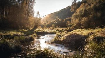 un' tranquillo, calmo foresta radura bagnata nel caldo luce del sole, circondato di alto alberi e lussureggiante fogliame, con un' dolce ruscello gocciolante attraverso il sottobosco e un' lontano montagna gamma visibile foto