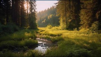 un' tranquillo, calmo foresta radura bagnata nel caldo luce del sole, circondato di alto alberi e lussureggiante fogliame, con un' dolce ruscello gocciolante attraverso il sottobosco e un' lontano montagna gamma visibile foto