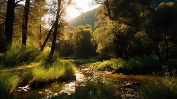 un' tranquillo, calmo foresta radura bagnata nel caldo luce del sole, circondato di alto alberi e lussureggiante fogliame, con un' dolce ruscello gocciolante attraverso il sottobosco e un' lontano montagna gamma visibile foto