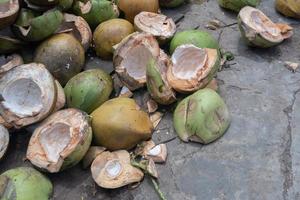 un' mucchio di Noce di cocco rifiuto per essere Usato come cocopeat prodotti. Noce di cocco fibra di cocco o Noce di cocco conchiglia su il erba foto