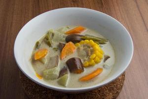 sayur lodeh o verdura sugo Noce di cocco latte è un' tradizionale indonesiano culinario cibo a partire dal Giava nel un' bianca ciotola servito su un' Marrone di legno tavolo. foto